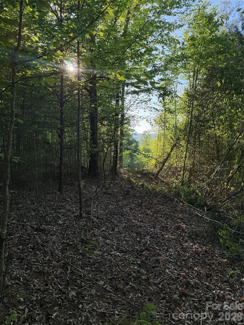 West Legacy Dr #6, Hendersonville, NC 28739
