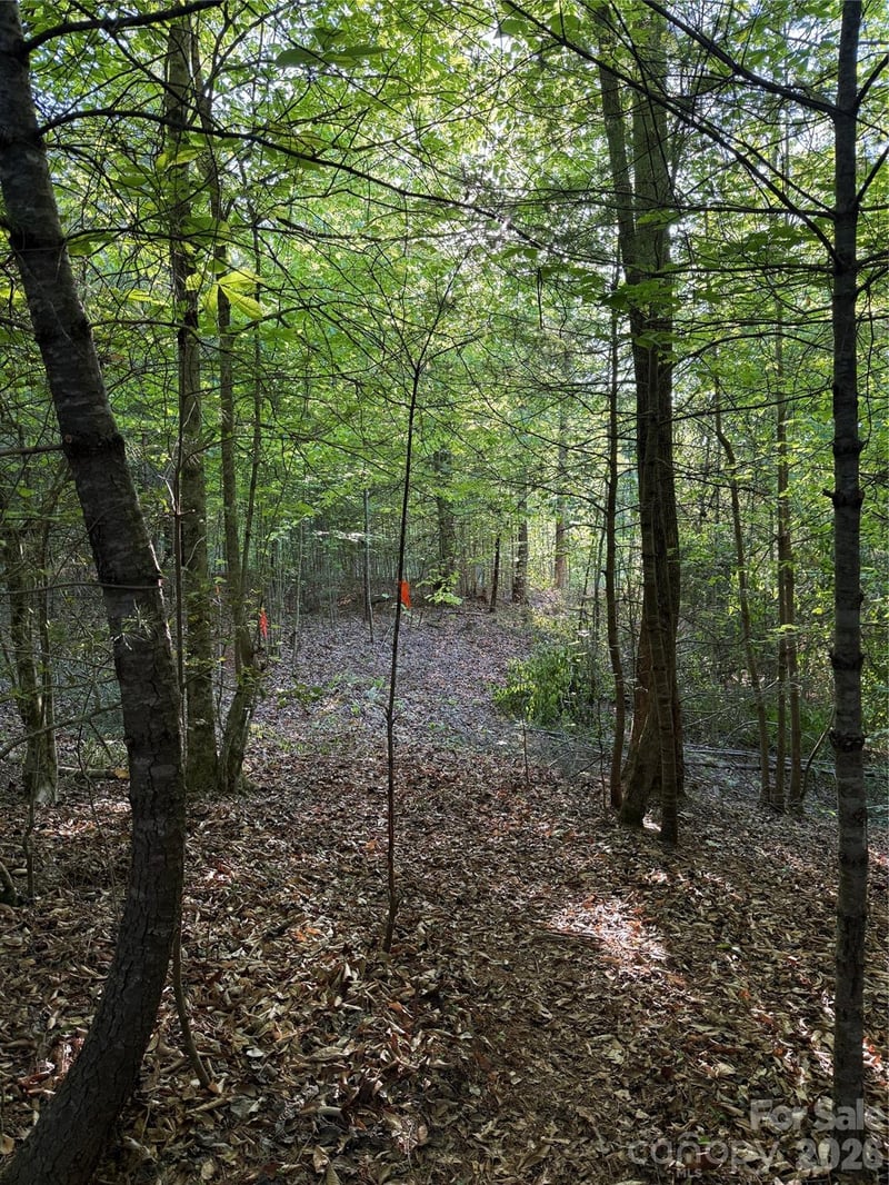 West Legacy Dr #6, Hendersonville, NC 28739