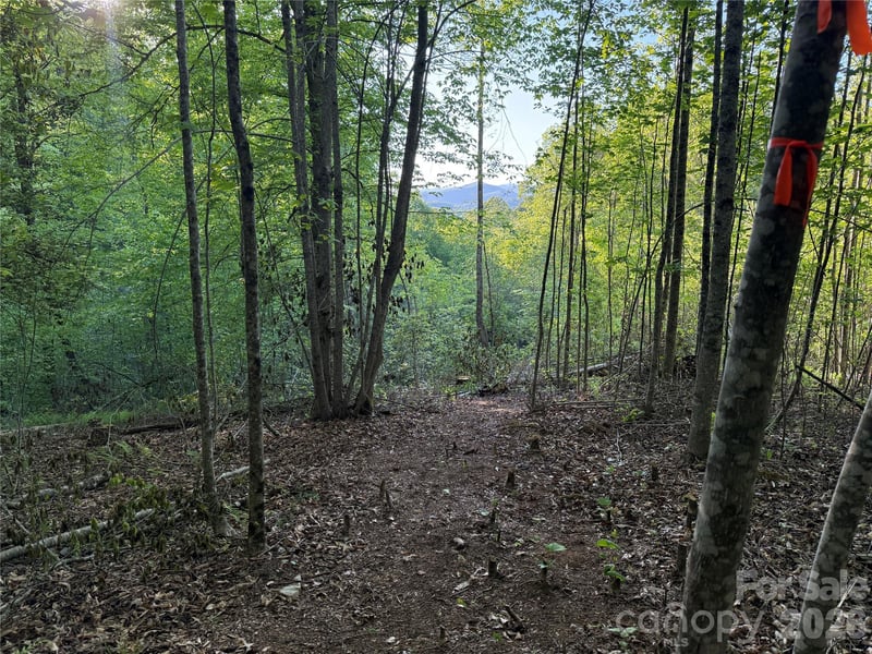 West Legacy Dr #6, Hendersonville, NC 28739