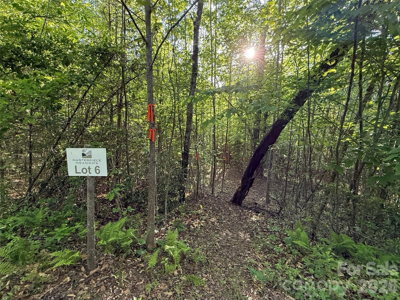 West Legacy Dr #6, Hendersonville, NC 28739