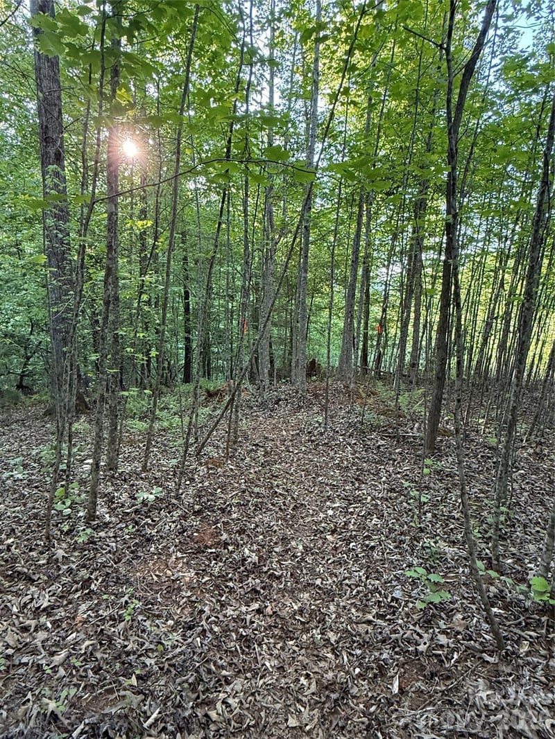 West Legacy Dr #7, Hendersonville, NC 28739