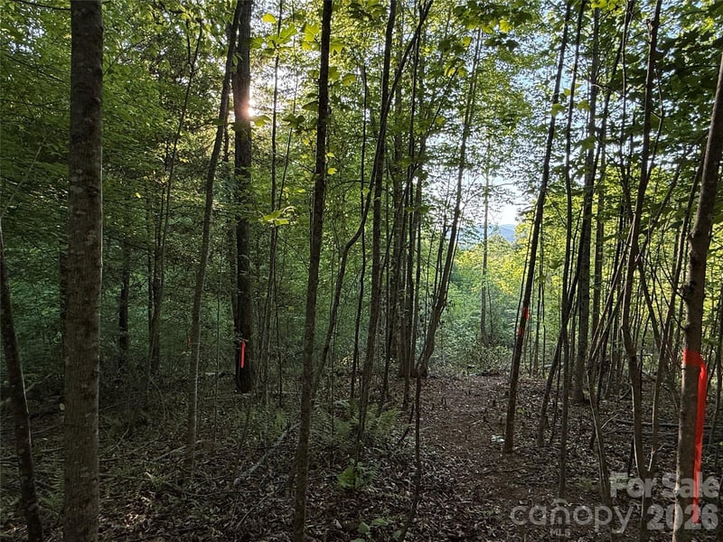 West Legacy Dr #7, Hendersonville, NC 28739