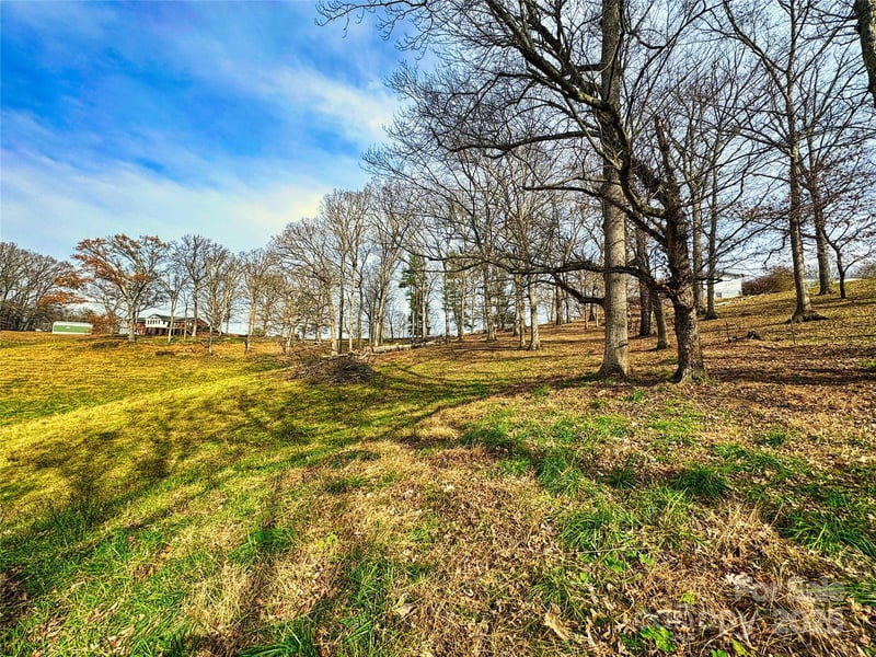 99999 Old Newfound Rd, Leicester, NC 28748