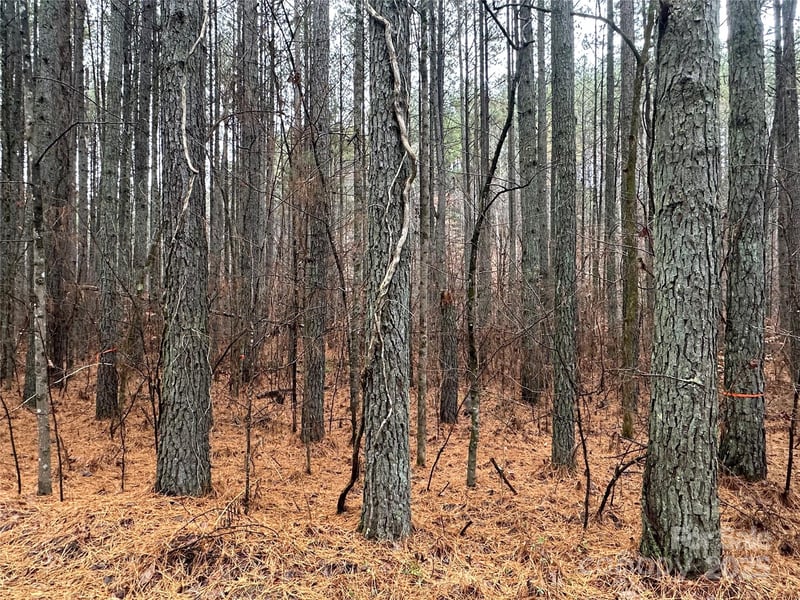Frog Creek Rd, Union Mills, NC 28167