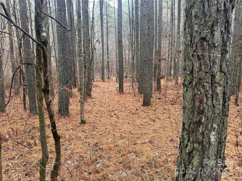 Frog Creek Rd, Union Mills, NC 28167