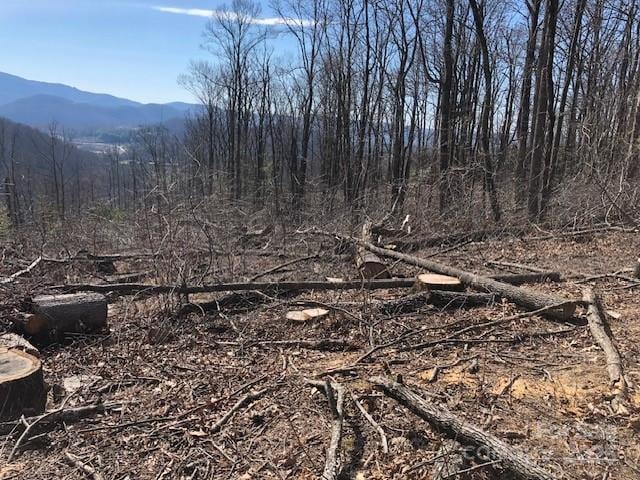 000 Butler Ridge Trl #26, Hendersonville, NC 28792