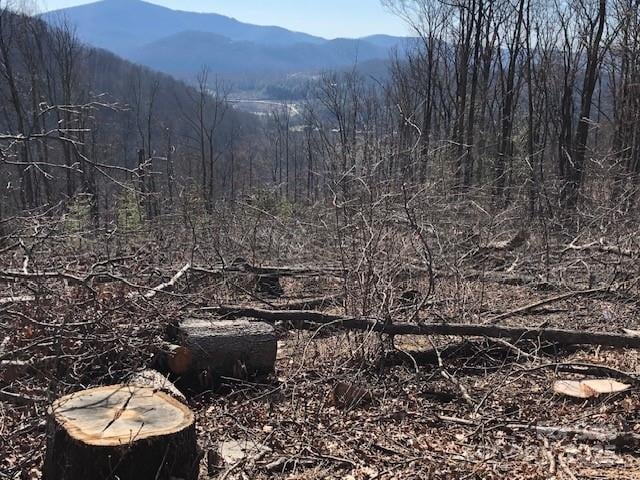 000 Butler Ridge Trl #27, Hendersonville, NC 28792