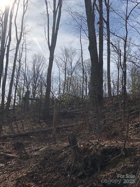 000 Butler Ridge Trl #27, Hendersonville, NC 28792