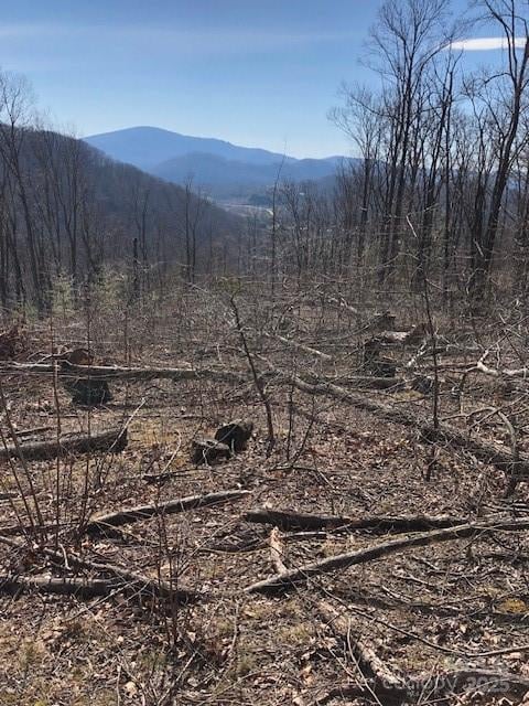 000 Butler Ridge Trl #27, Hendersonville, NC 28792