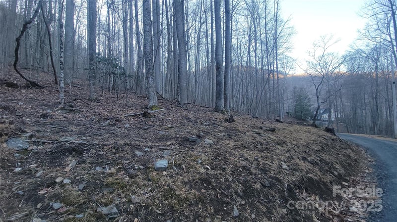 Lot 7B Hickory Springs Rd #7B, Burnsville, NC 28714