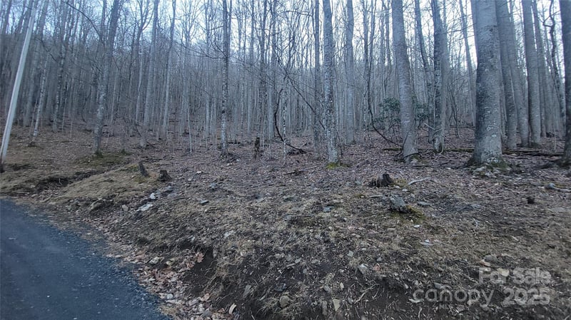 Lot 7B Hickory Springs Rd #7B, Burnsville, NC 28714