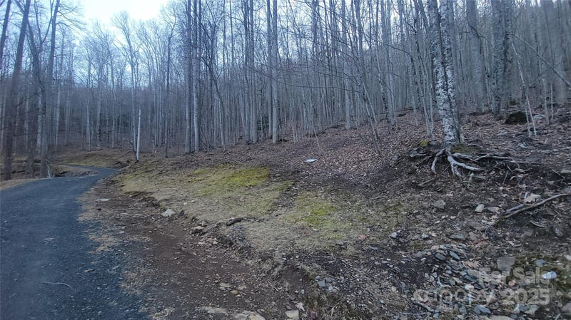 Lot 7B Hickory Springs Rd #7B, Burnsville, NC 28714