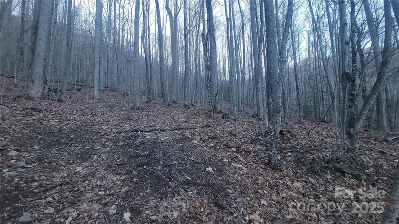 Lot 7B Hickory Springs Rd #7B, Burnsville, NC 28714