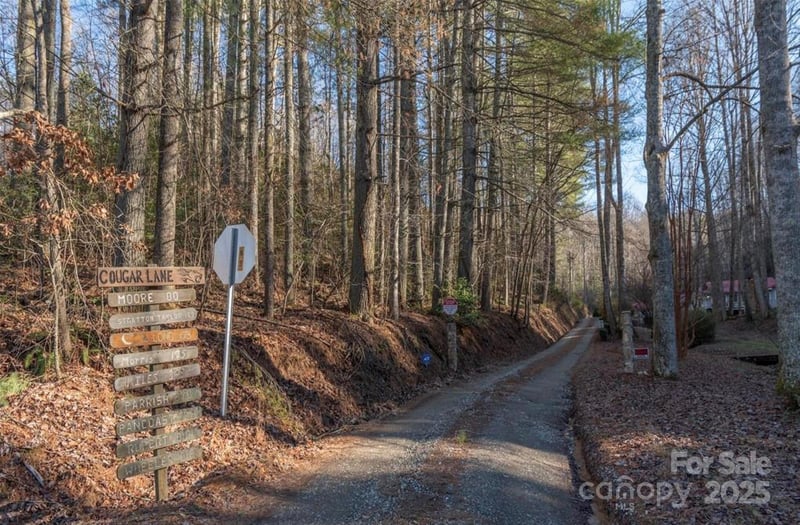 00 Cougar Ln, Whittier, NC 28789