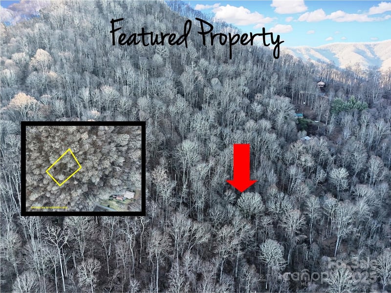 TBD Vireo Ln, Waynesville, NC 28785