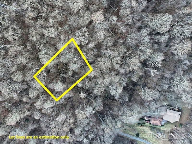 TBD Vireo Ln, Waynesville, NC 28785