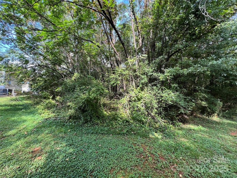 144 St Helena Dr, Rutherfordton, NC 28139