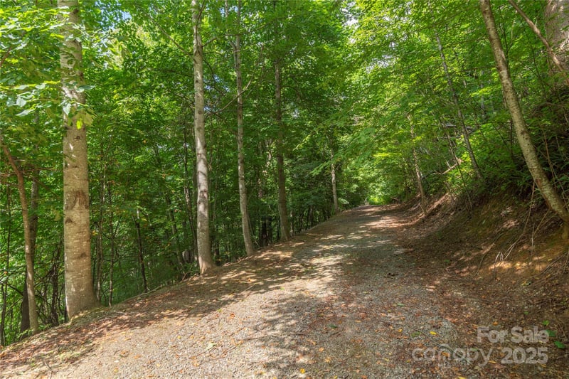 00 Pitch Fork Cv #525, Waynesville, NC 28785