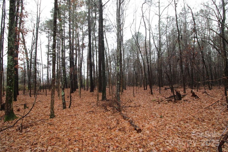 Neal Rd LOT 5, Bessemer City, NC 28016