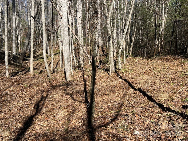 181 Falling Leaves Ln #49, Hendersonville, NC 28792