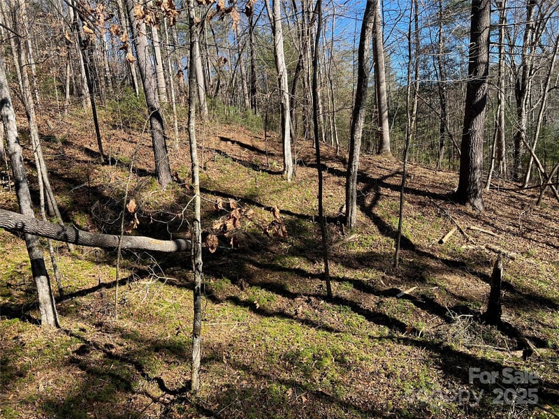 181 Falling Leaves Ln #49, Hendersonville, NC 28792