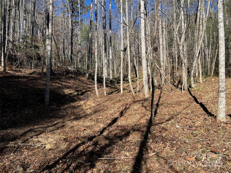 181 Falling Leaves Ln #49, Hendersonville, NC 28792