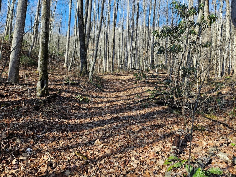 000 Serenity Dr #27, Waynesville, NC 28785
