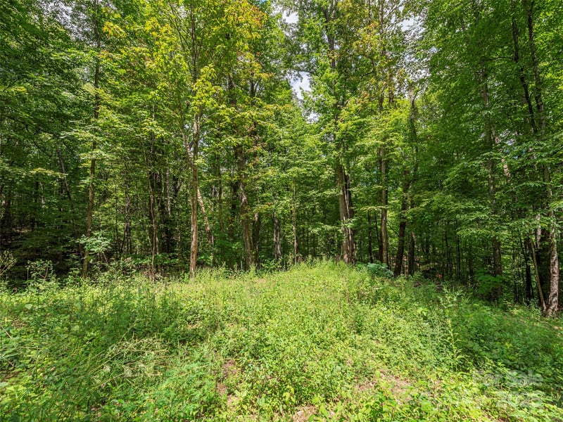 000 Flowing Brook Ln #3, Waynesville, NC 28786