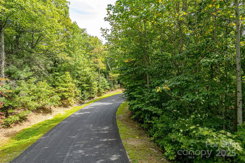 579 Bluemist Way, Arden, NC 28704