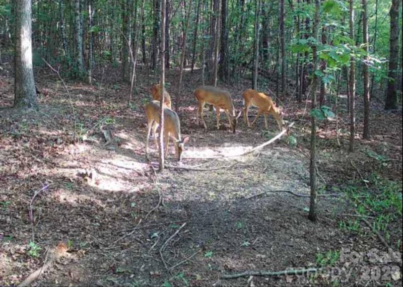 VL Southern Way, Nebo, NC 28761