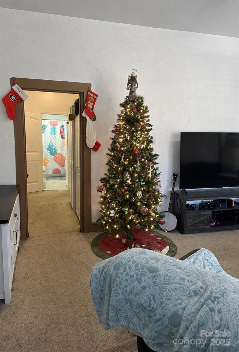 220 Catawba Ave, Mount Holly, NC 28120