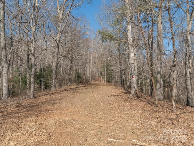 74 Buckeye Cove Rd, Canton, NC 28716