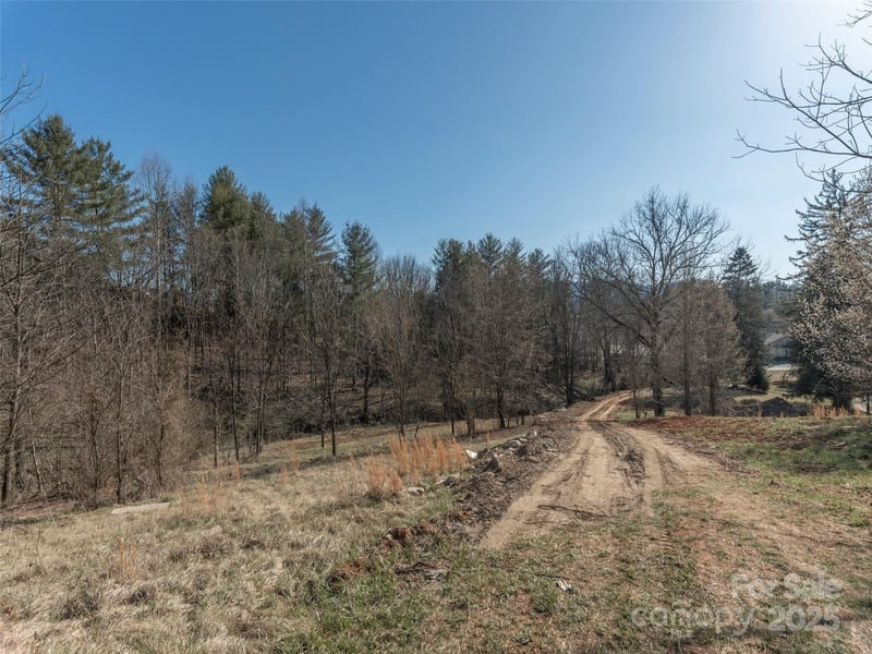 74 Buckeye Cove Rd, Canton, NC 28716