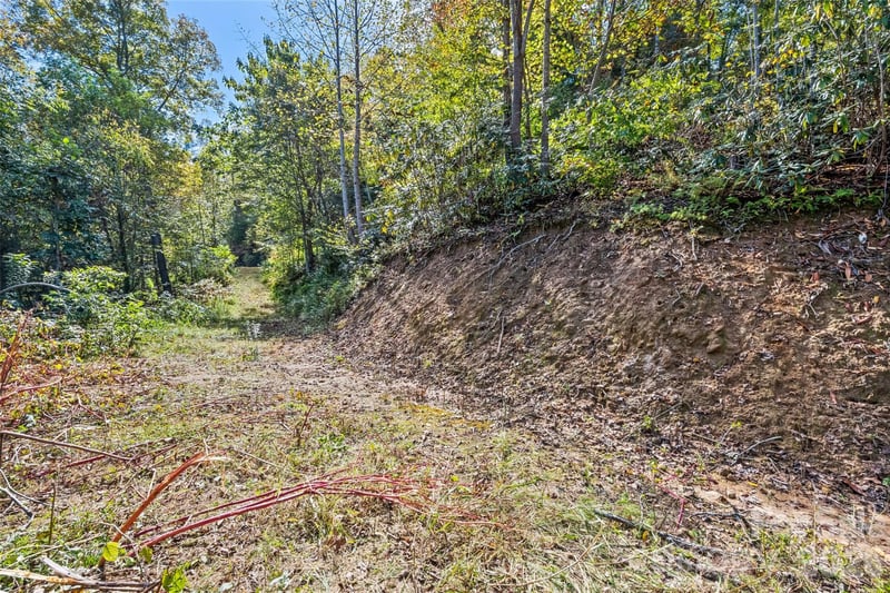 16 Harleys Cv, Waynesville, NC 28785