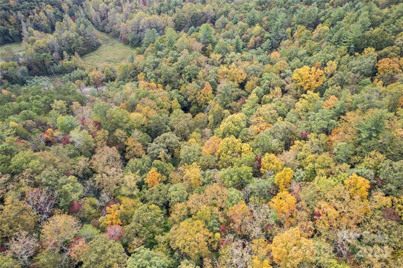 99999 Chastain Rd, Scaly Mountain, NC 28775
