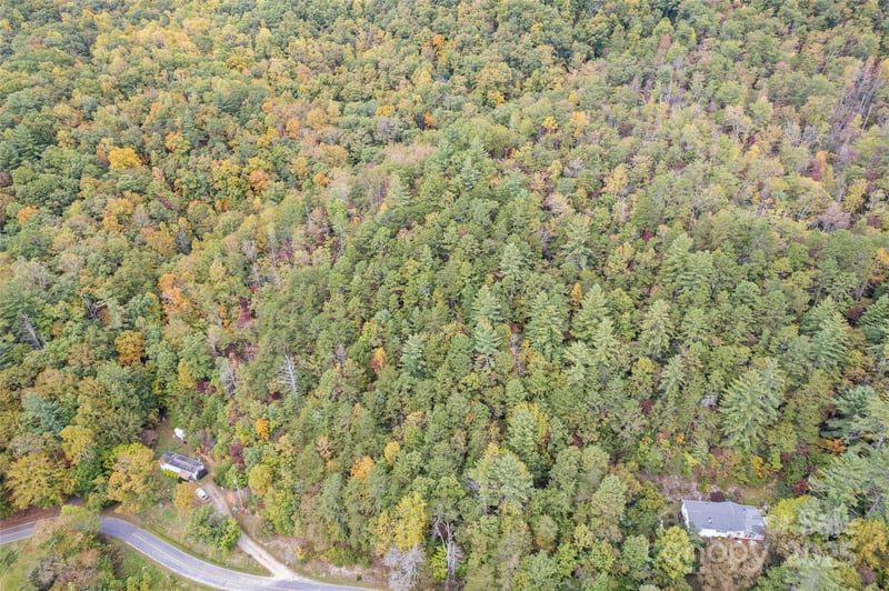 99999 Chastain Rd, Scaly Mountain, NC 28775