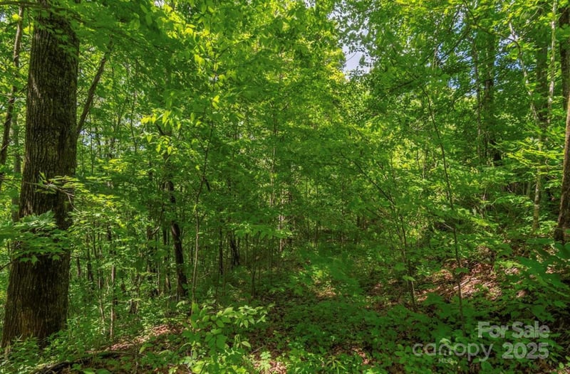 99999 Sara Ridge Rd #32C, Waynesville, NC 28786