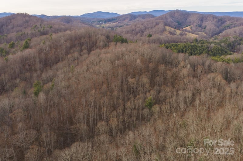Foster Oliver Ln, Lansing, NC 28643