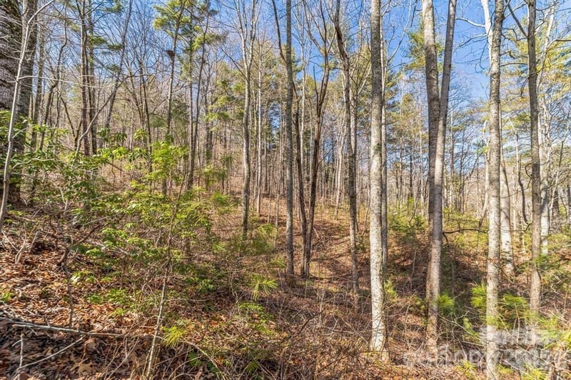 99999 Mill Rd, Asheville, NC 28805