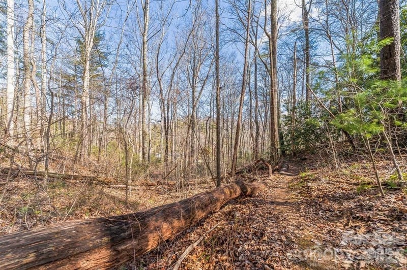 99999 Mill Rd, Asheville, NC 28805