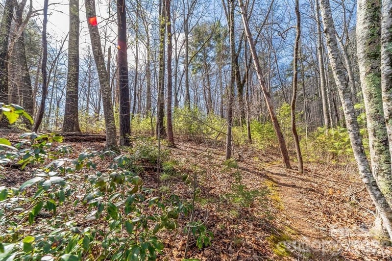 99999 Mill Rd, Asheville, NC 28805