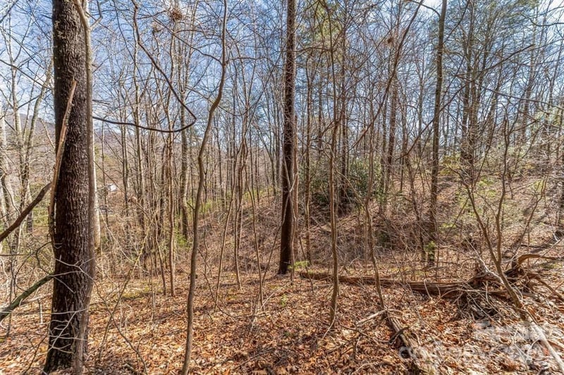 99999 Mill Rd, Asheville, NC 28805