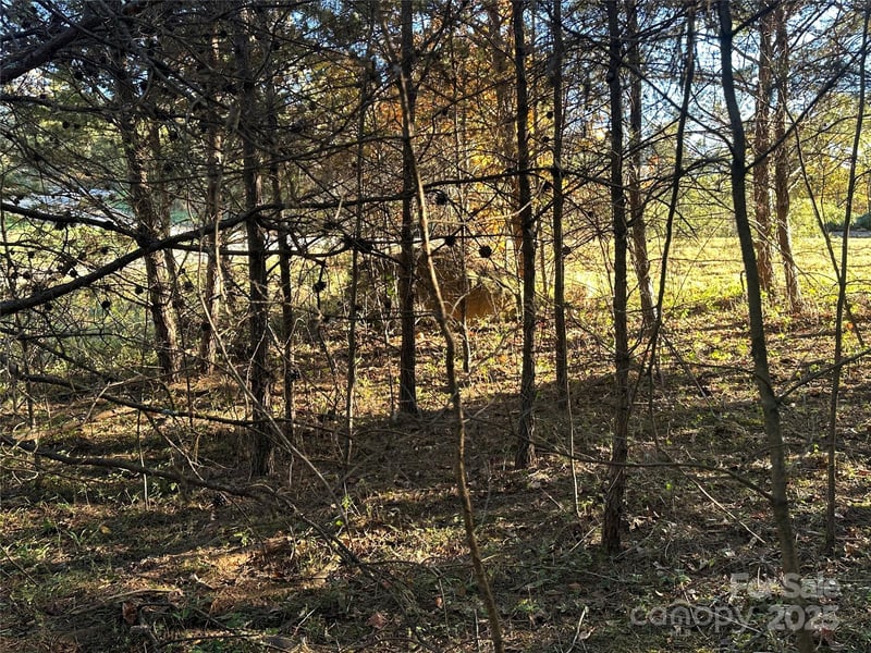 Rock Ledge Dr #339, Lake Lure, NC 28746