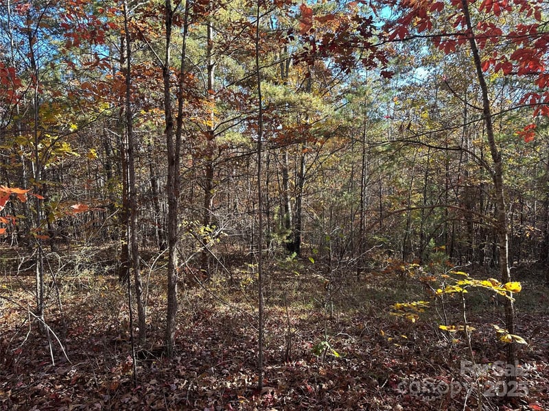 Rock Ledge Dr #339, Lake Lure, NC 28746