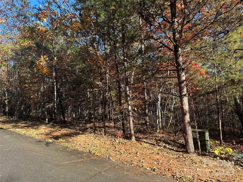 Rock Ledge Dr #339, Lake Lure, NC 28746