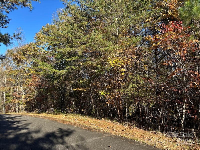 Rock Ledge Dr #339, Lake Lure, NC 28746
