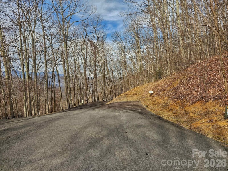 32 Finlaystone Tc, Waynesville, NC 28786