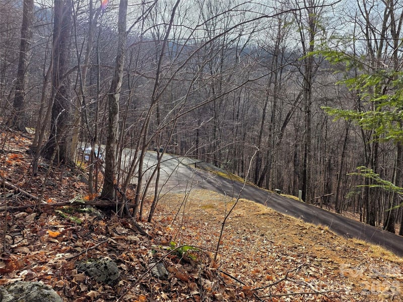 32 Finlaystone Tc, Waynesville, NC 28786