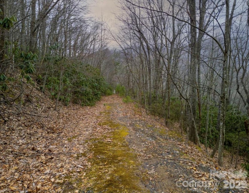 00 Seasons Dr Lot 43, Clyde, NC 28721