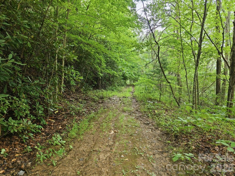 00 Seasons Dr Lot 43, Clyde, NC 28721